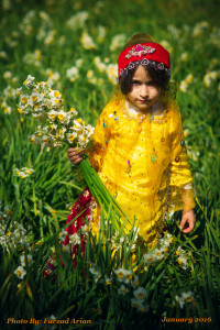 Farzad-Arian flower festival(5)