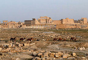 Palmyra_03