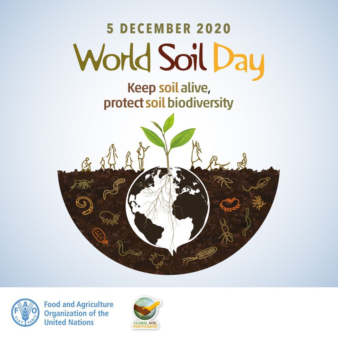 world soil day1 World Cultural Heritage Voices
